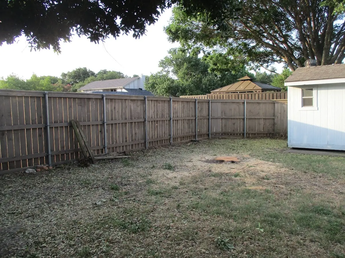 Cleared yard after professional tree removal in Rosine